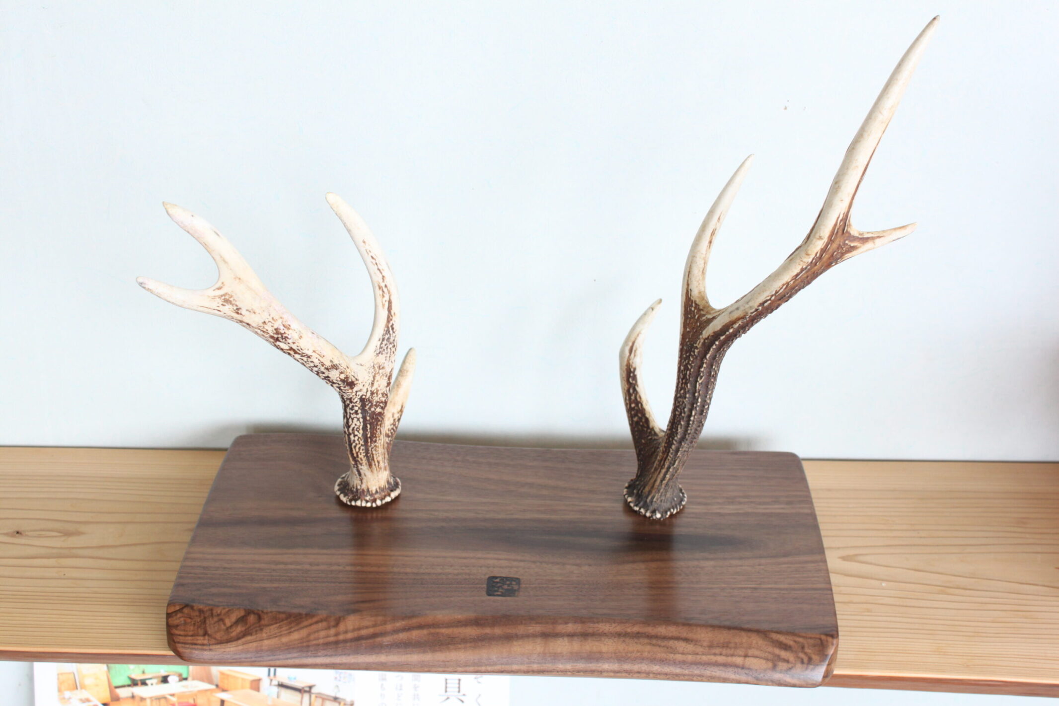 鹿のツノオブジェ木工家具工芸品インテリア002